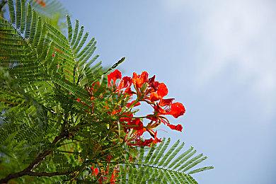 《地下城与勇士：对决》开场动画公布 6月28日发售